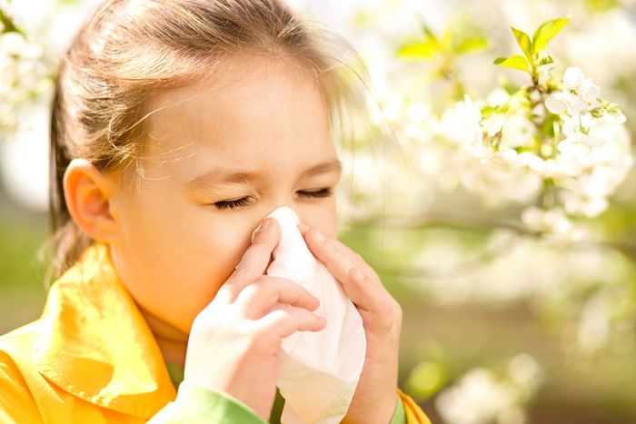Аллергическая реакция может не касаться непосредственно органов дыхания, то есть спровоцировать ее способен обычный контакт с аллергеном, например, с животным, пыльцой или каким-то продуктом. 